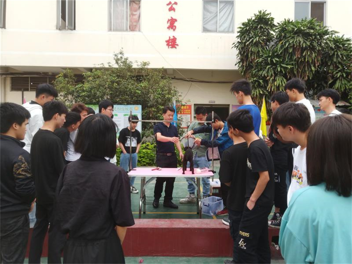 7宠物狗的护理.jpg