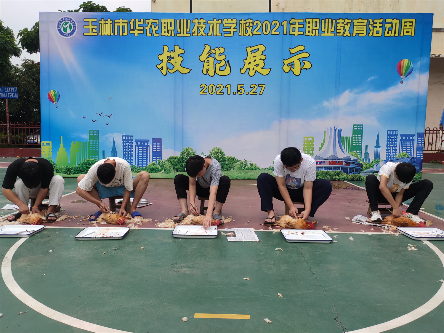 6公鸡的阉割实训（2）.jpg
