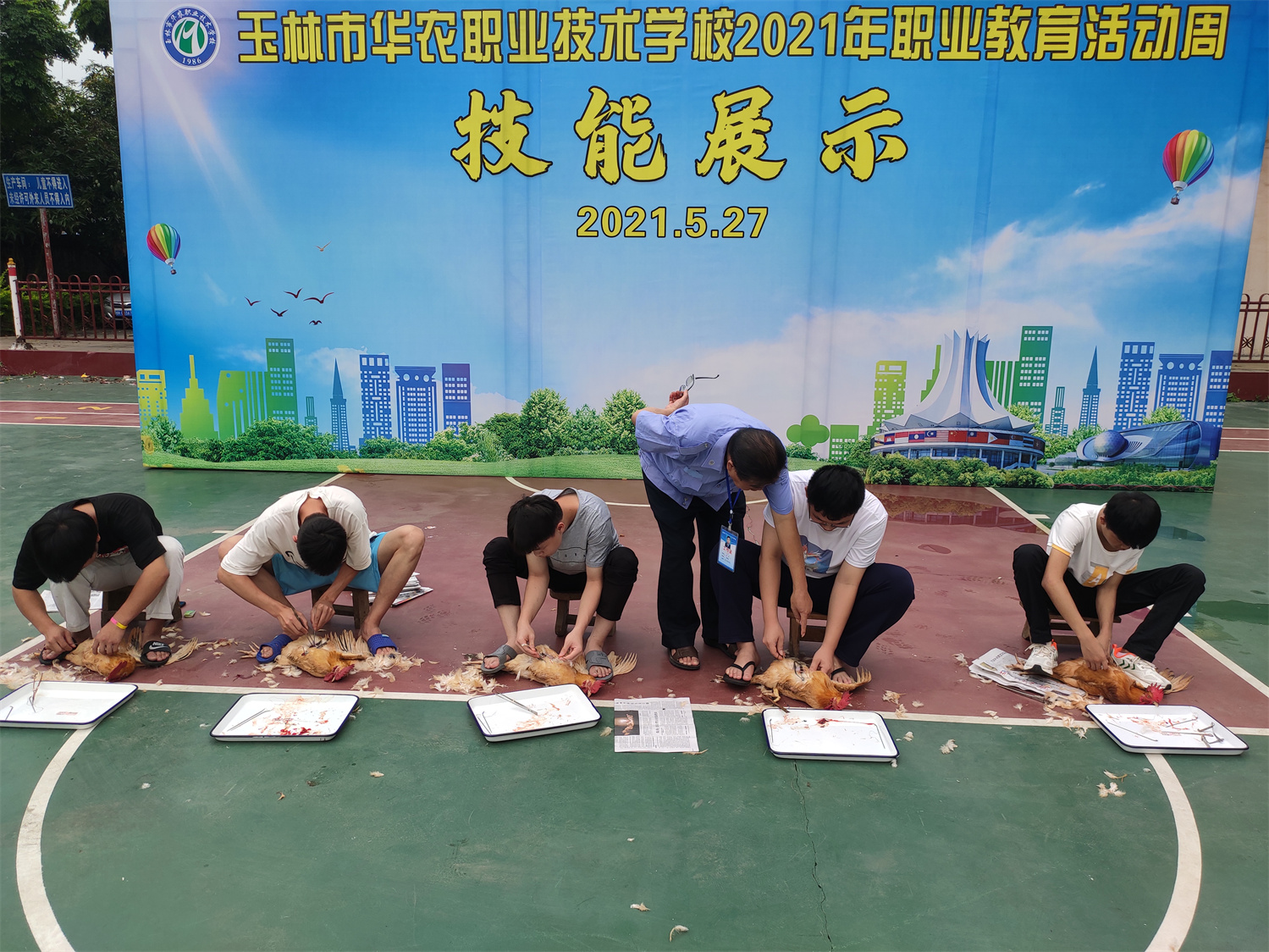 5公鸡的阉割实训（1）.jpg
