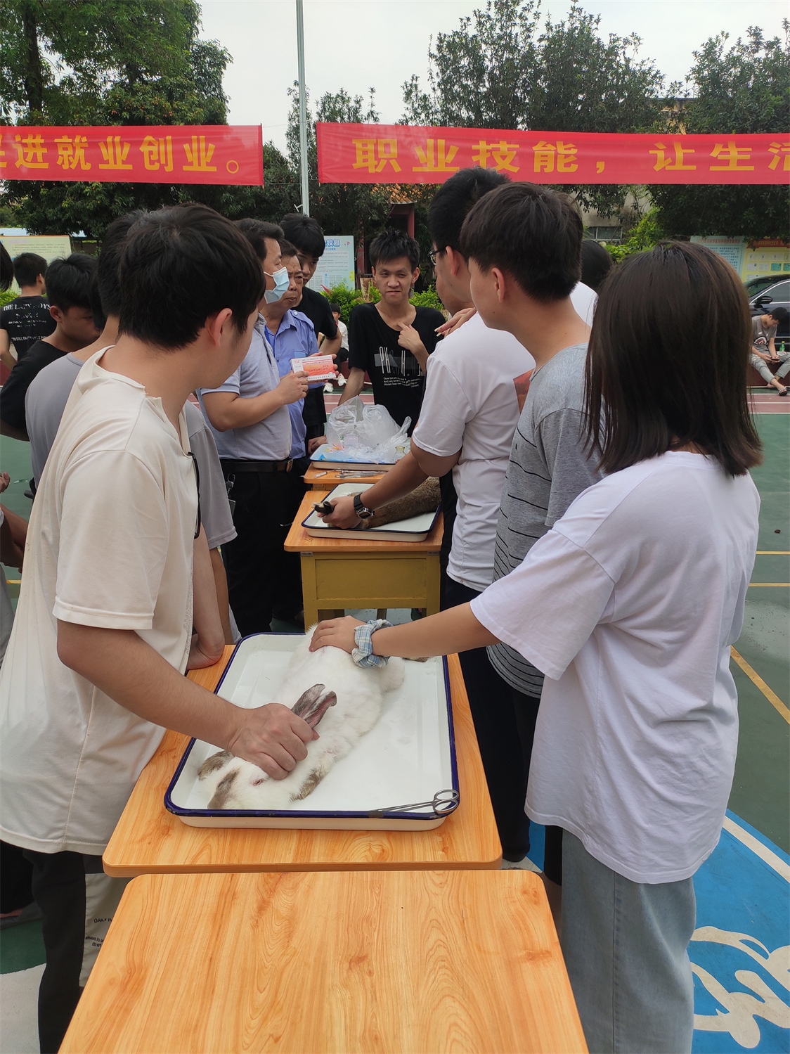 3宠物麻醉药的使用说明.jpg