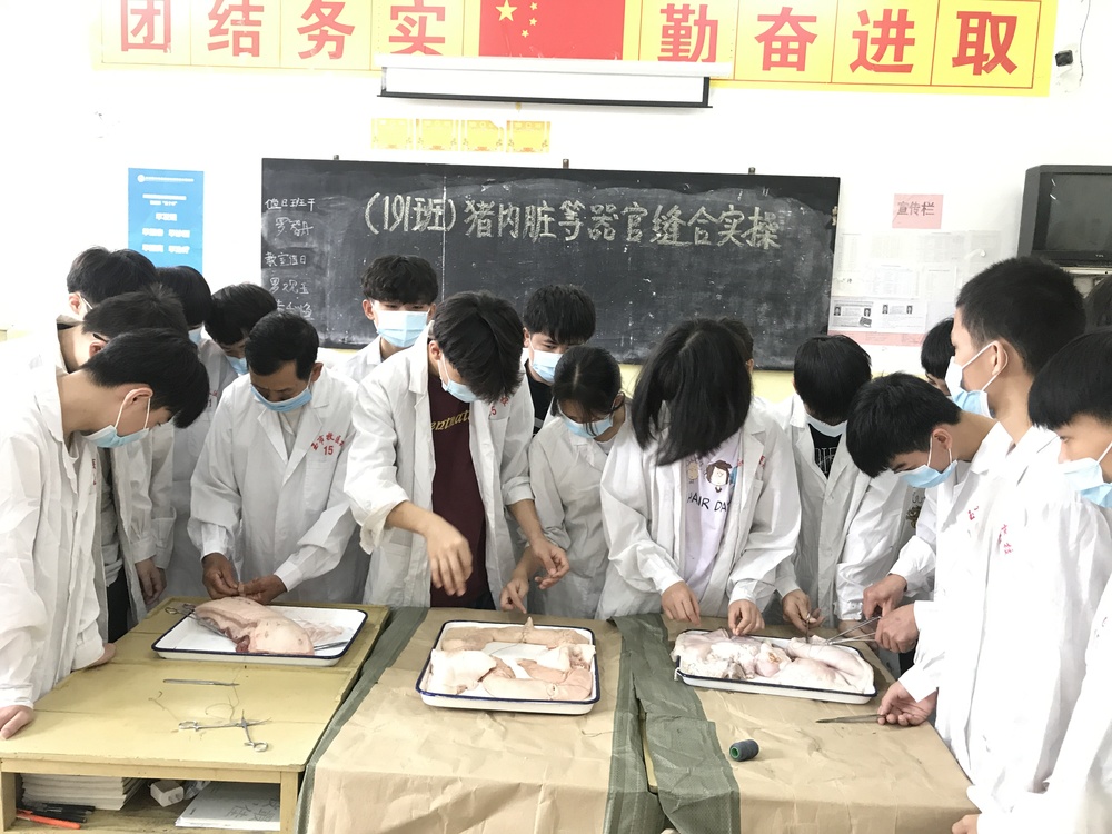 微信图片_20200524150025.jpg
