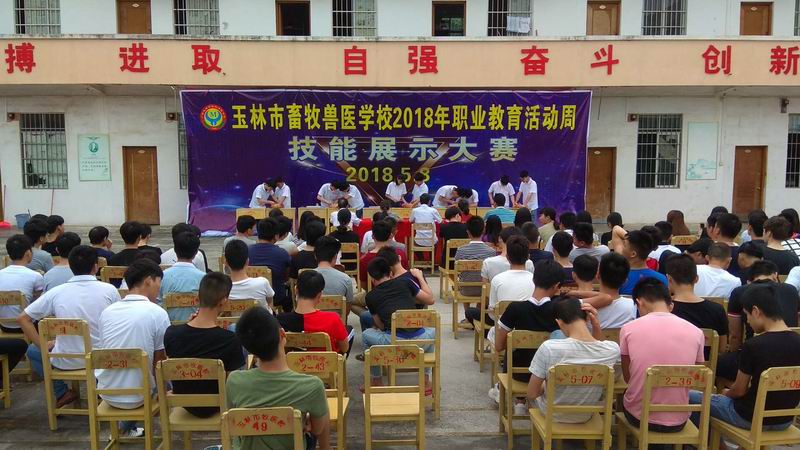 学生进行鸡静脉血采集技能比赛11.jpg
