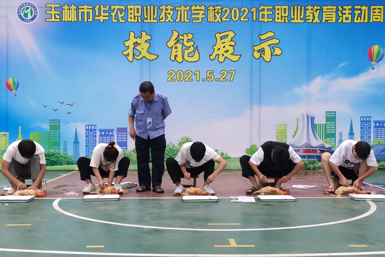 卢斌老师授课公鸡的阉割技能实训.png