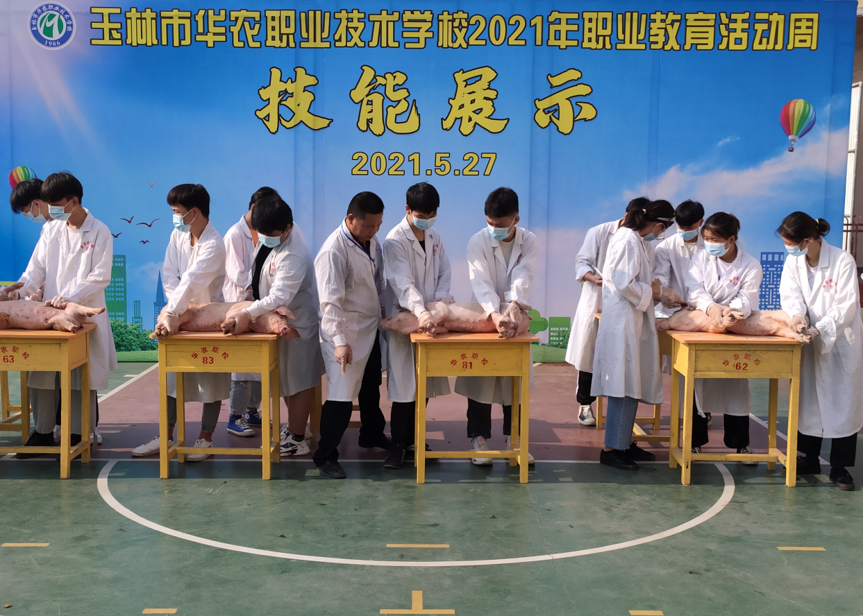 邓福宗老师授课猪的诊疗技能实训.png